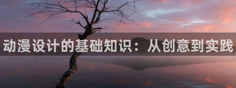 免费a漫动漫天堂.：动漫设计的基础知识：从创意到实践