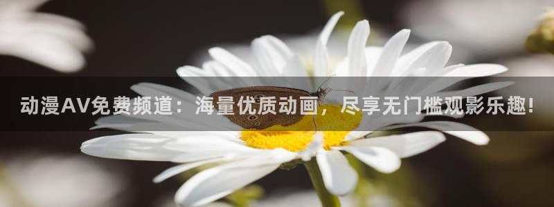 天堂动漫图片唯美伤感：动漫AV免费频道：海量优质动画，尽享无门槛观影乐趣!