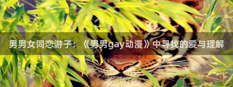 天堂动漫网站入口在哪里：男男女同恋游子：《男男gay动漫》中寻找的爱与理解