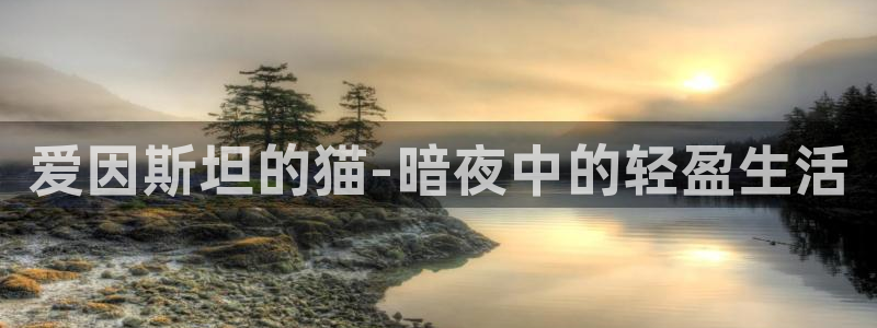同居天堂动漫：爱因斯坦的猫-暗夜中的轻盈生活